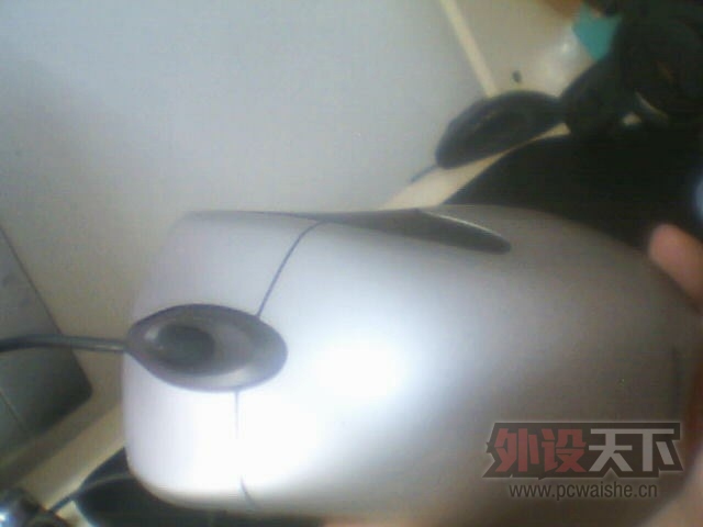 meitu_00013.jpg