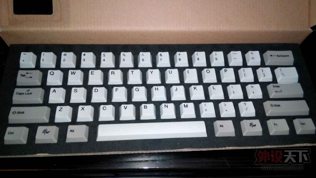 6666.jpg
