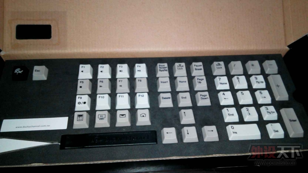 7777.jpg