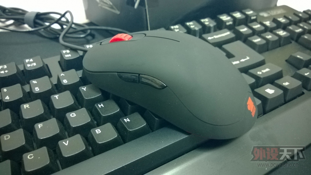 WP_20140220_003.jpg