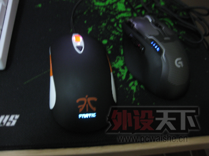 �����ݡ���9.5����SENSEI FNatic��