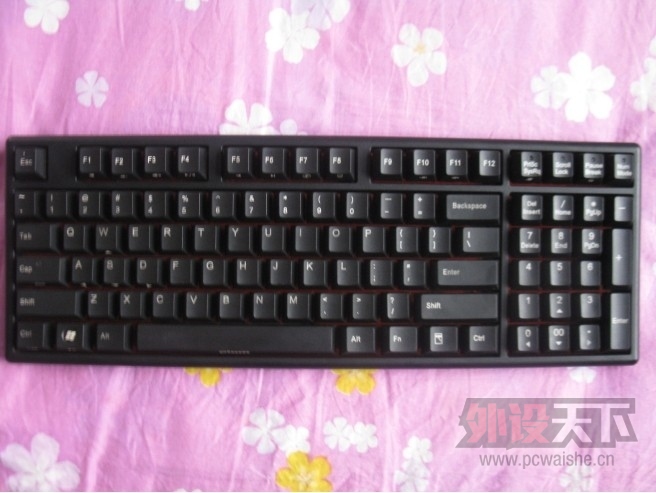 �ӱ��� PLUM 96 ˫ģ ��ɫ���� ��٤�������� ���350��