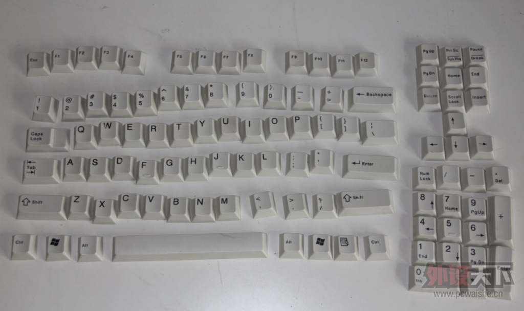 ɫPBT OEM߶ 1.jpg