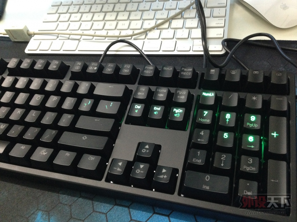 Ducky Shine3 ̹ ͨ 800ݳ