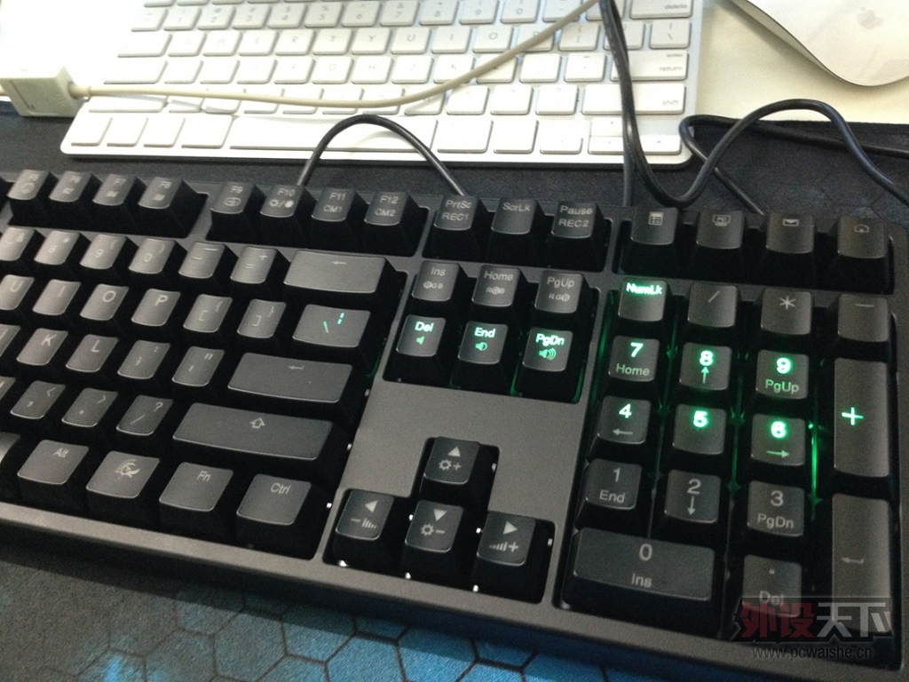 Ducky Shine3 ̹ ͨ 800ݳ