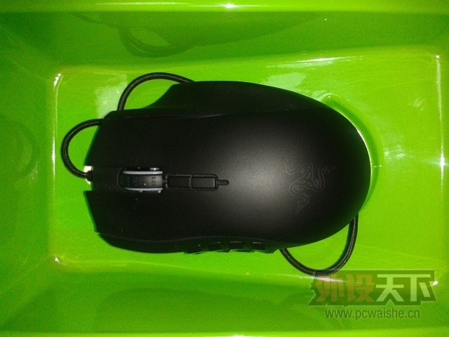 Naga2014 1.jpg