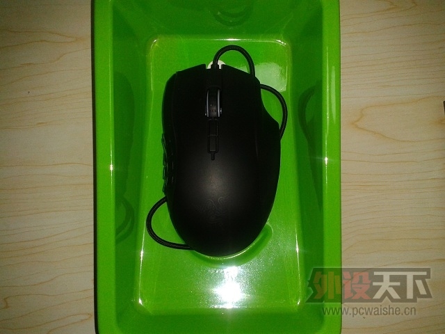 Naga2014 2.jpg