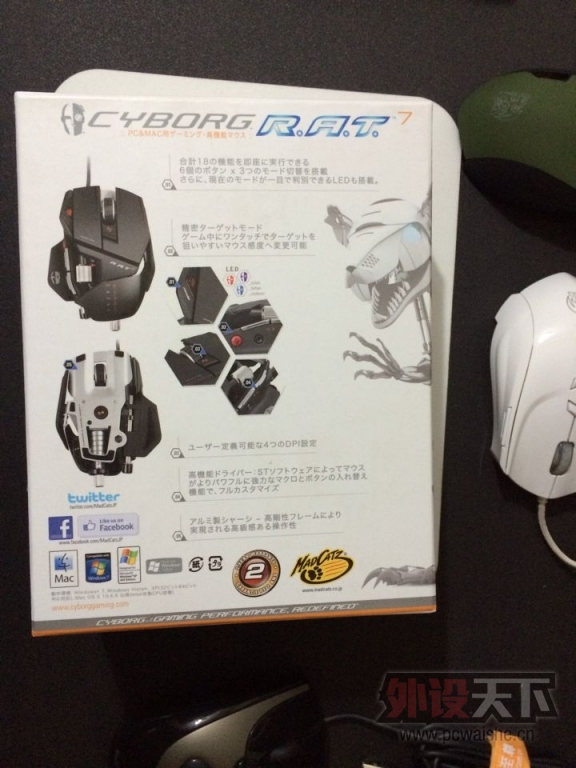 ڡֻTTԡ