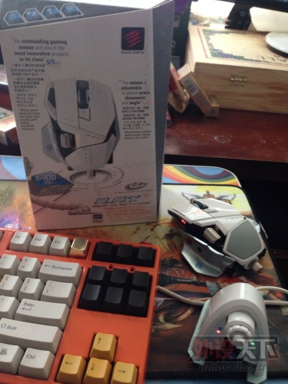[�人�����ۣ�һ����۲�Ʒ,���ո��£�~