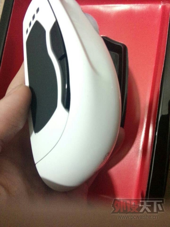 ʥ��ʿ�յ�