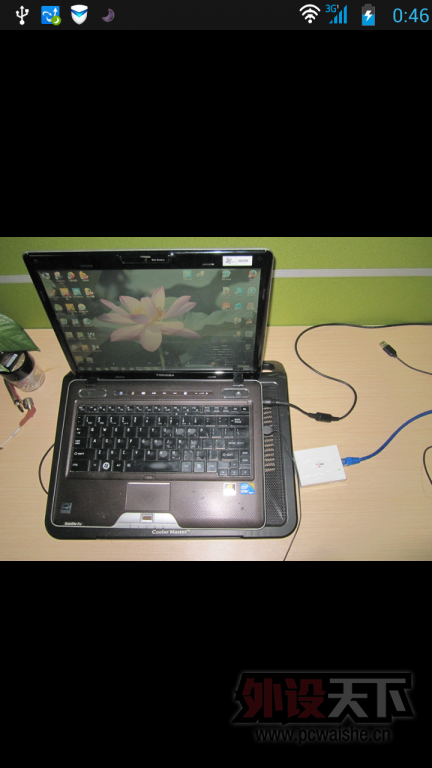 RSking RL100[ԭ]