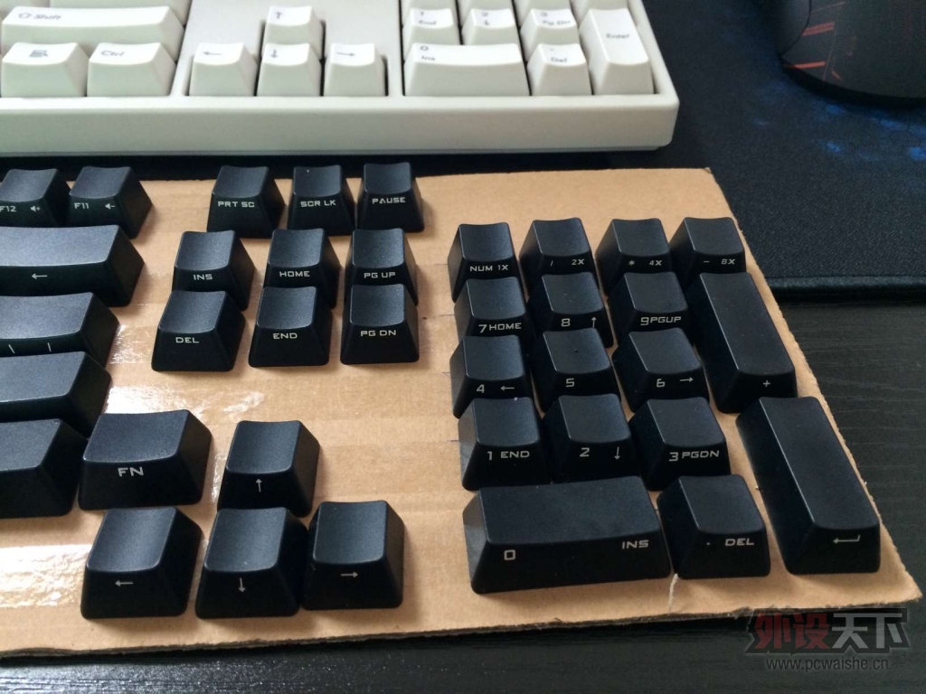 �ѳ�����������������XT����ǹ���ñ