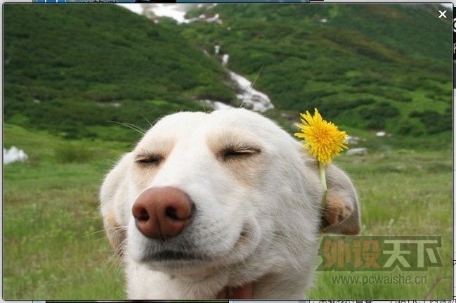 н~~~