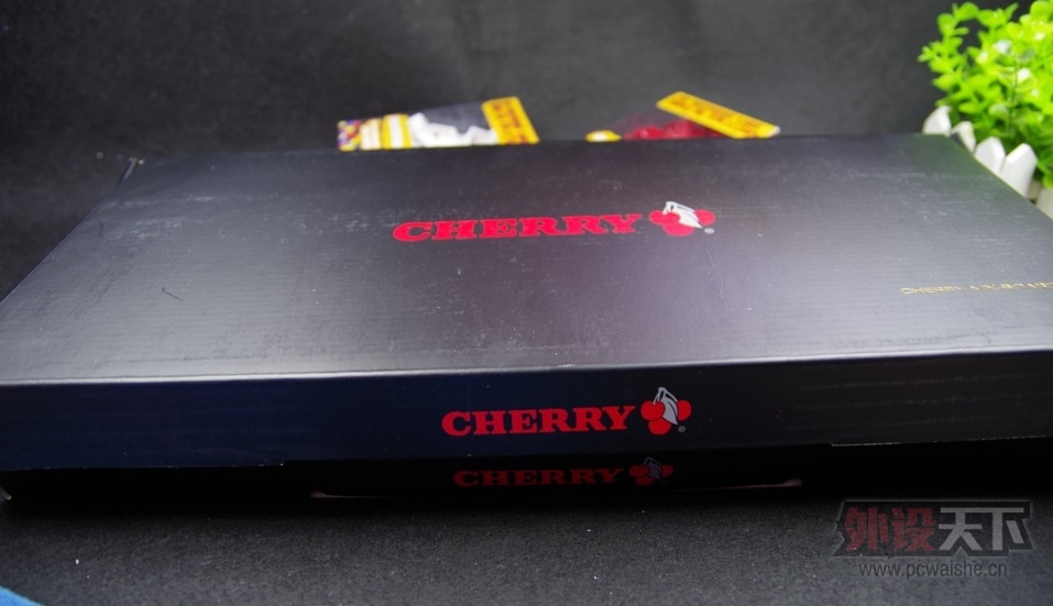 �����ϡ�������ͭ���� NOP LOLITA ��MX����� Cherry3850�����