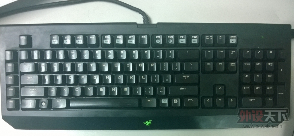 pdvv11.jpg