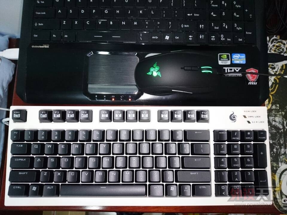 һ�붾̳���ƺ���һ�첻�������ߣ�̫��+����92TK