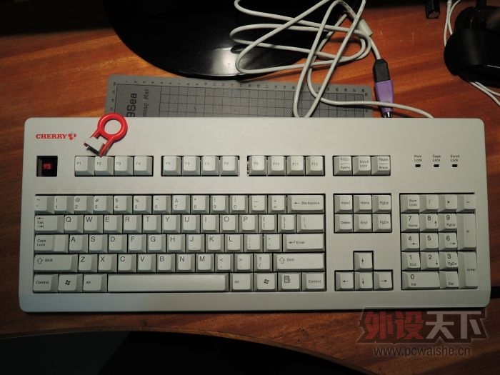 dscn2979.jpg