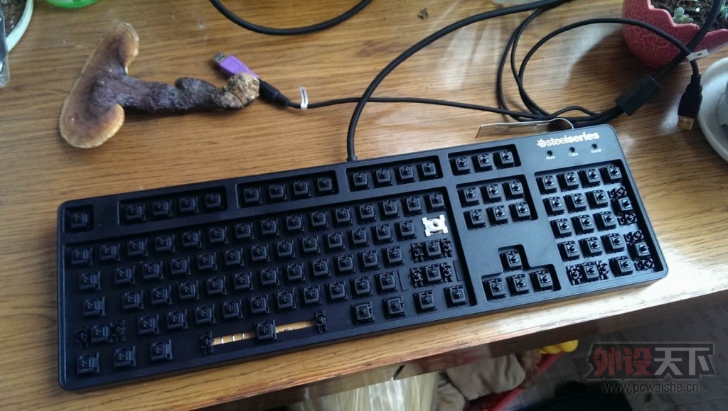 �����ݡ�������7G����һ��������������лл��λ�����ˡ�