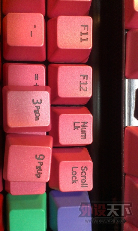 IMAG1192.jpg