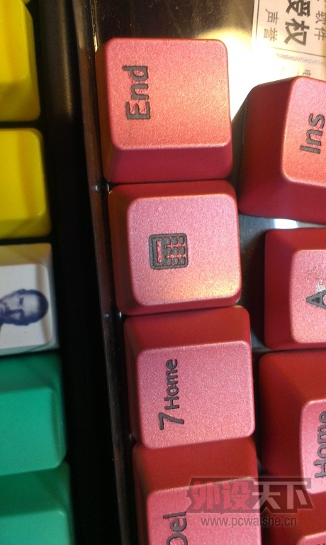 IMAG1193.jpg