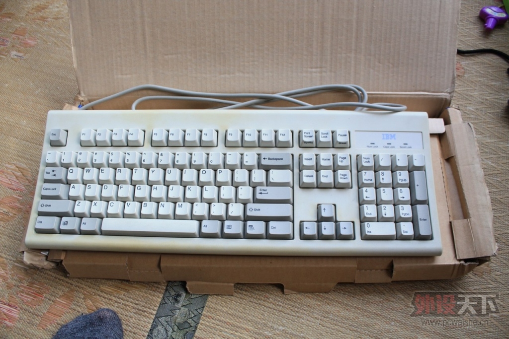 ���Ϻ����Լ��ղصļ���IBM���̣�KB-8923��KB-9910��SK-0225��KB-8820