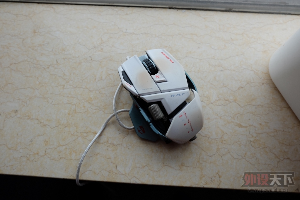 DSCF0050.JPG