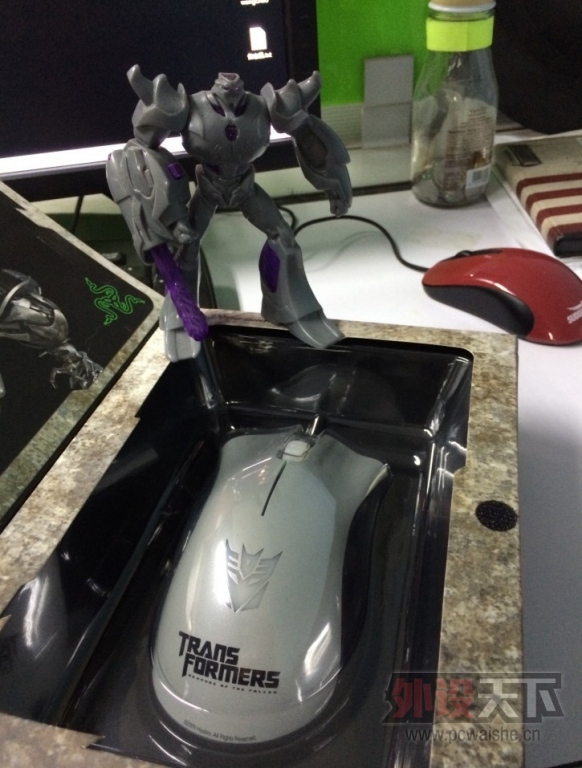�����������ڡ���������TF�Σ�1800����������