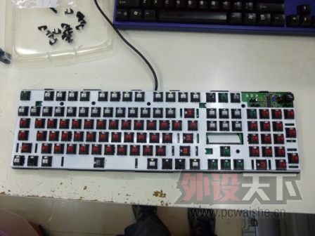 P1010731.JPG