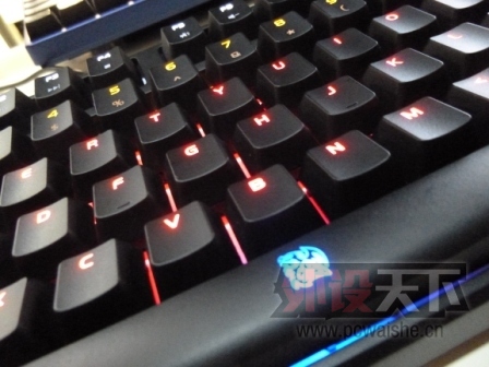 P1010743.JPG