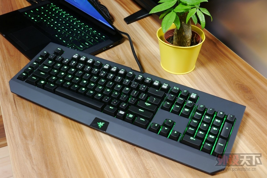 ⰻȻ RazerڹѸ֩ռ2014е