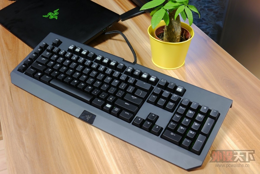 ⰻȻ RazerڹѸ֩ռ2014е