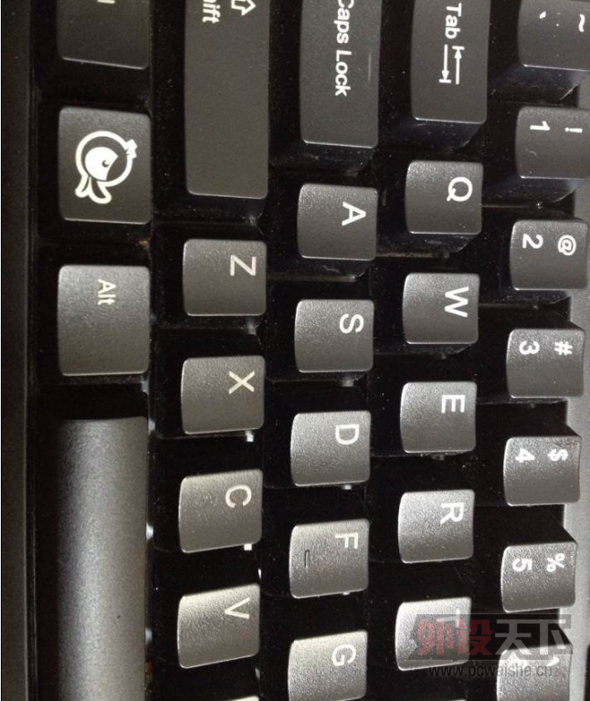 �ѳ���������