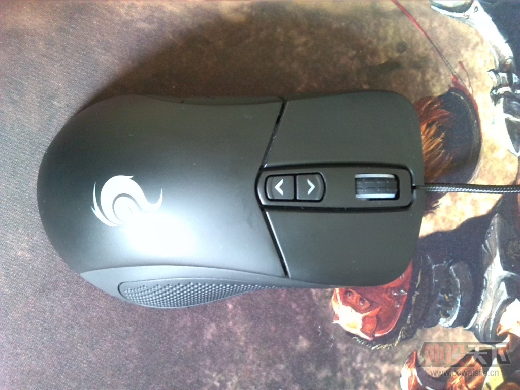 �����ݡ�����������������