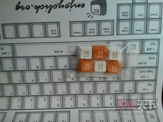 [�Ϻ�]����G80-8200�ڰ����� Macross DSA�� Cherry������ ��� �ҳ�GH��