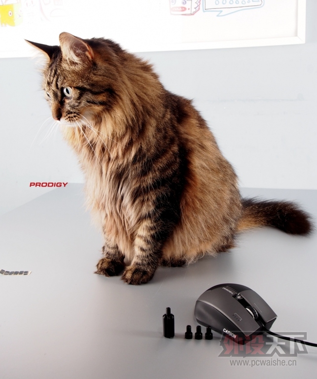 ��è��ս�� ���� THRONMAX CARBON ͼ�ͼ�ʹ���ĵá�