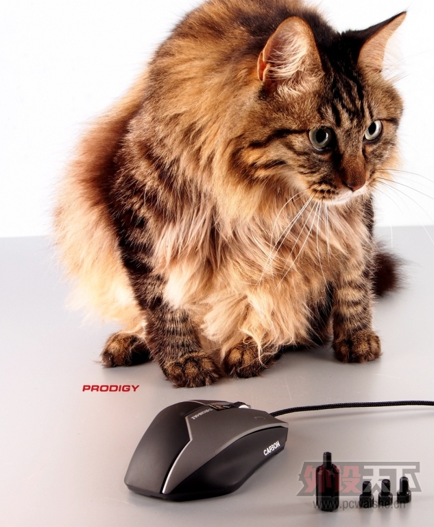 ��è��ս�� ���� THRONMAX CARBON ͼ�ͼ�ʹ���ĵá�