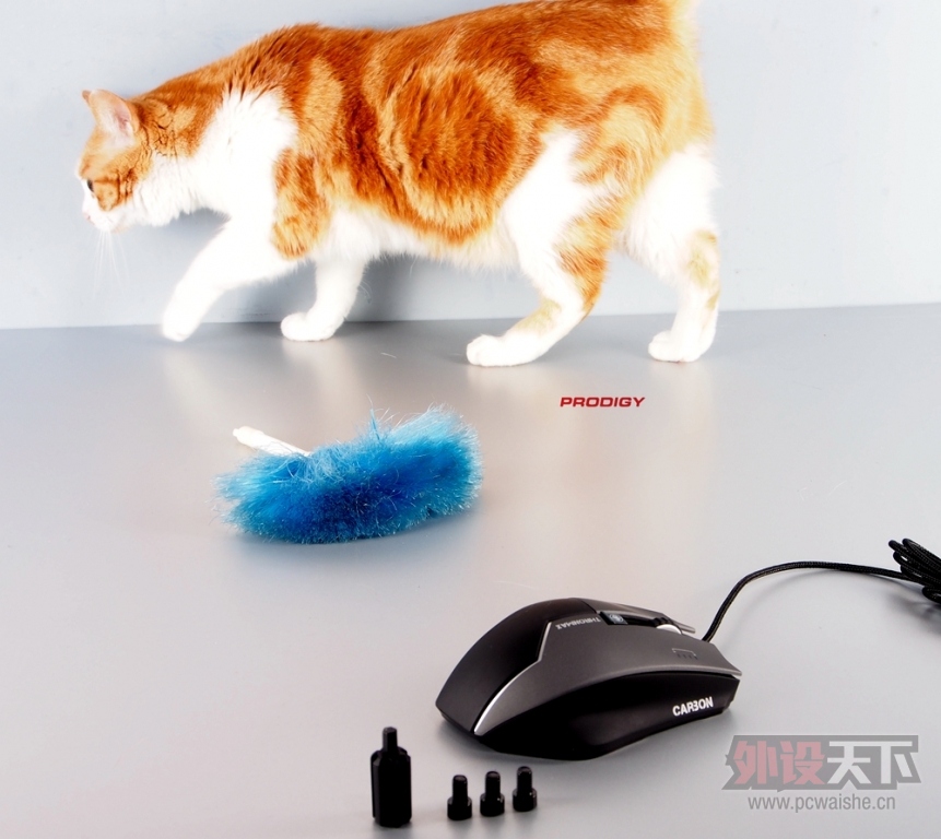 ��è��ս�� ���� THRONMAX CARBON ͼ�ͼ�ʹ���ĵá�