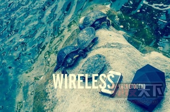 ����������������������������16Сʱ