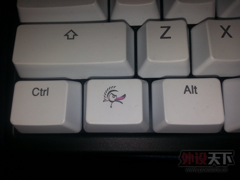 [����]��Ducky Shine 9008 3�۵ƺ��� ����