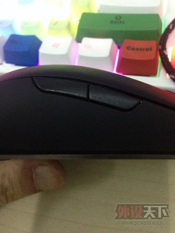 C_img_1696.jpg