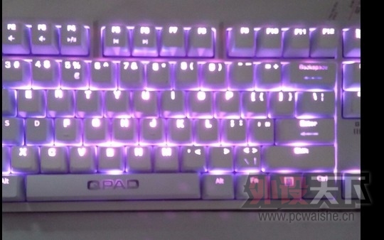 ʲôϿĲ鲻