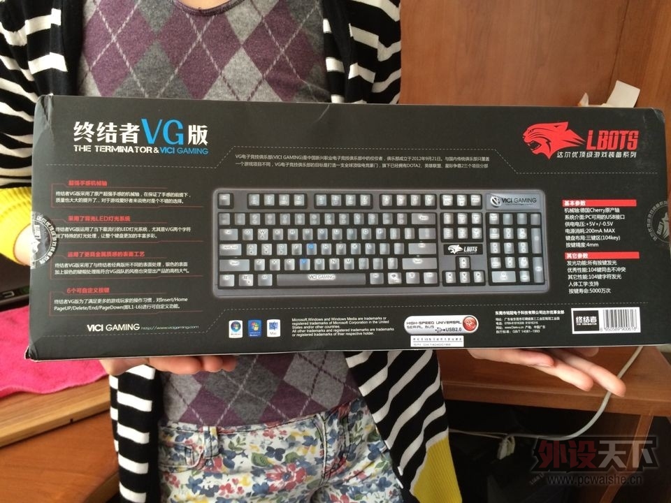 ����Ŷ�����Ϸװ��ϵ��-�ս���VG������е��������