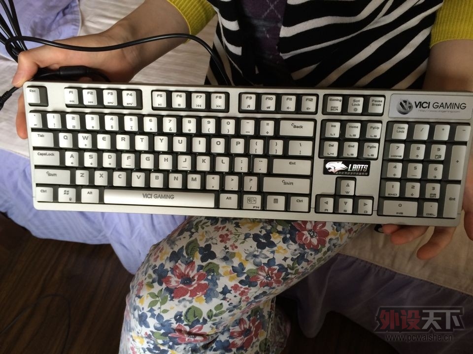 ����Ŷ�����Ϸװ��ϵ��-�ս���VG������е��������