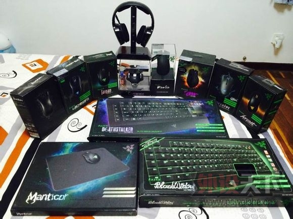 ���ݵ�Razer��һ����������~