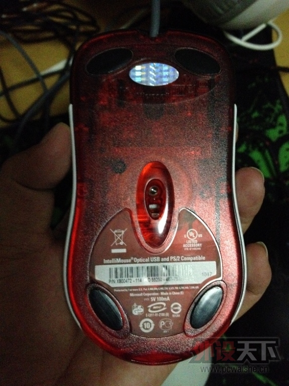 13.JPG