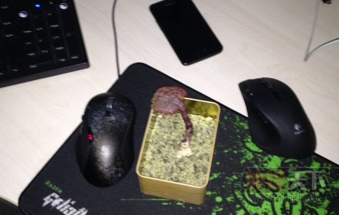 00.jpg