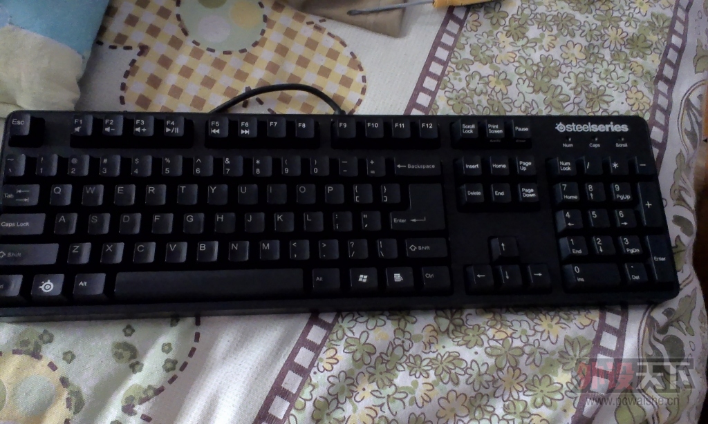 IMAG0120.jpg