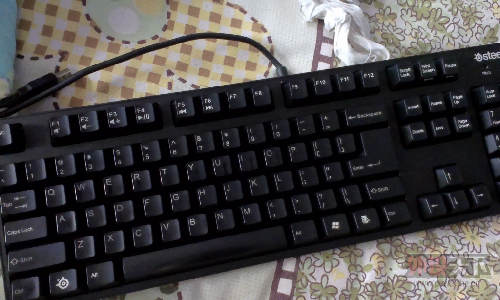IMAG0125.jpg