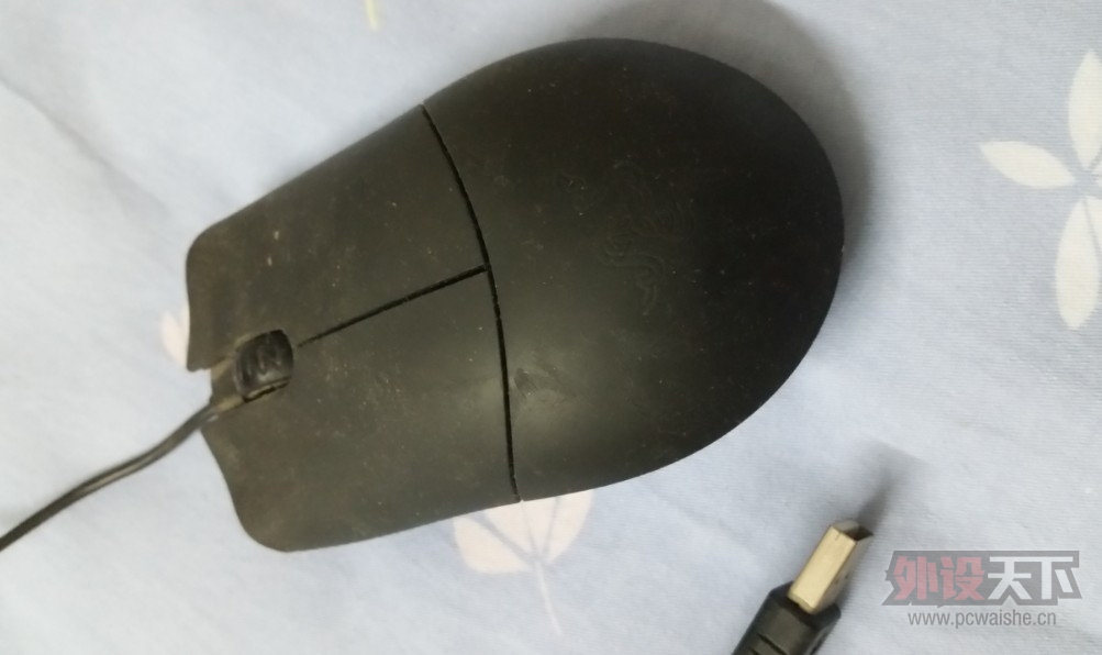 ��������kinzu V2 9�°��ʣ���ɷħ�� 8�°��ʣ���ͨ�ֻ���