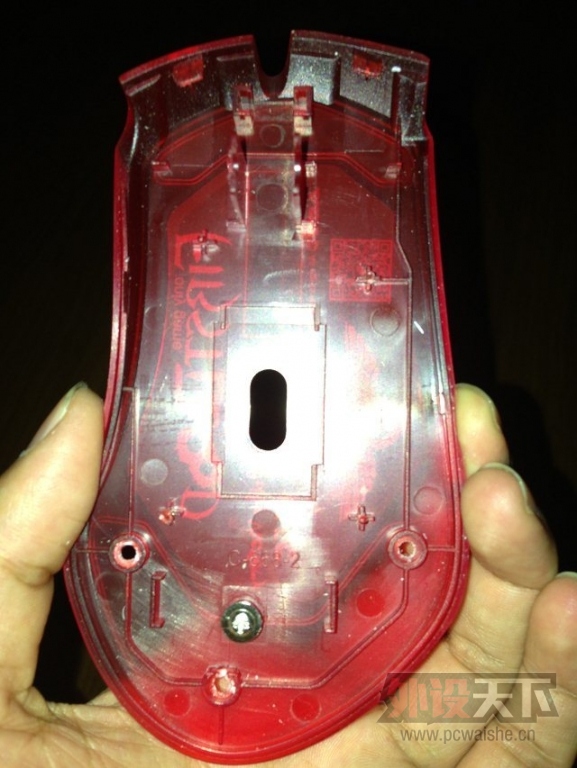 psb (2).jpg
